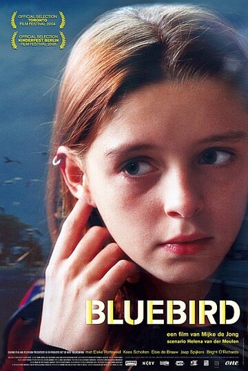 Синяя птица (2004)