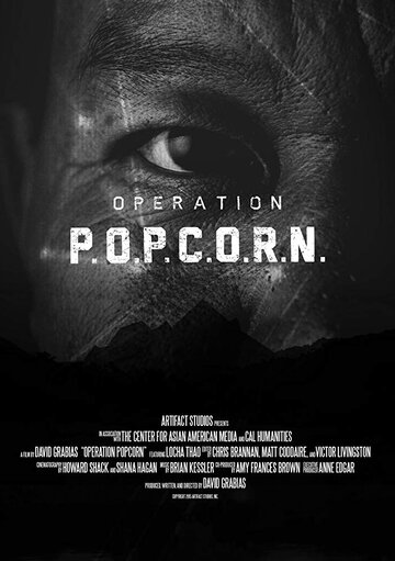 Operation Popcorn (2015)