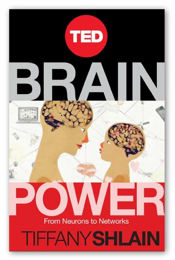 Brain Power: From Neurons to Networks (2012)