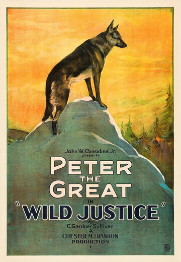 Wild Justice (1925)