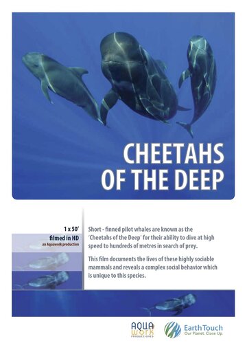 Дельфины – гепарды морских глубин (2014)