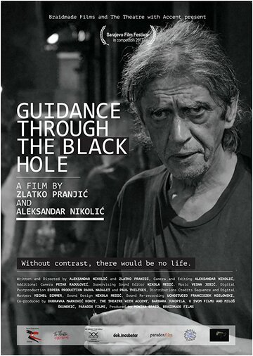 Guidance through the Black Hole (2017)
